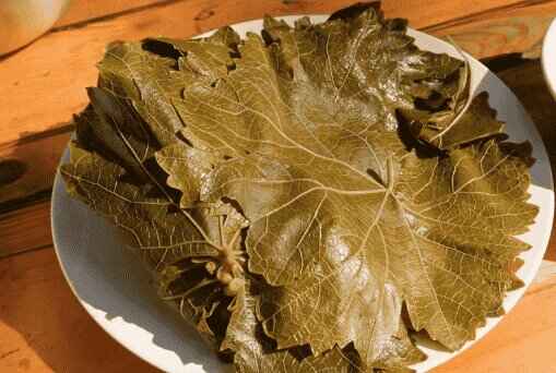 Grape Leaves